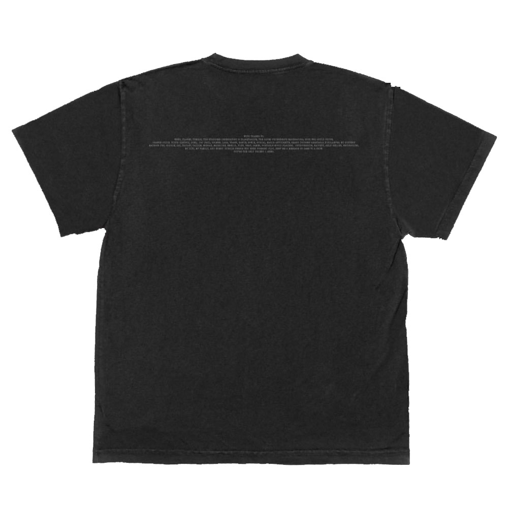 Lorde thanks Lana Shirt on the 10 year anniversary of Pure Heroine Lorde thanks Lana Shirt on the 10 year anniversary of Pure Heroine