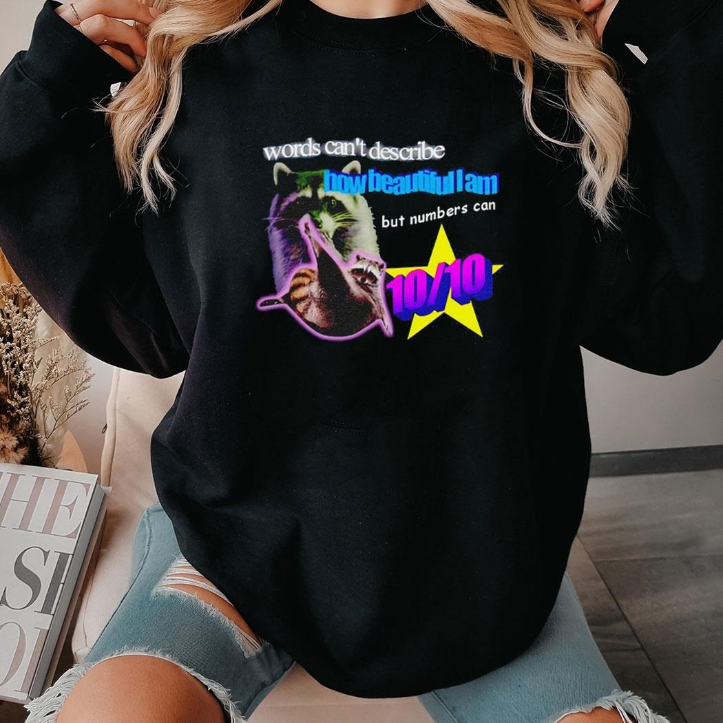 Racoon Words Can’t Describe How Beautiful I Am But Numbers Shirt Hoodie Racoon Words Can’t Describe How Beautiful I Am But Numbers Shirt Hoodie