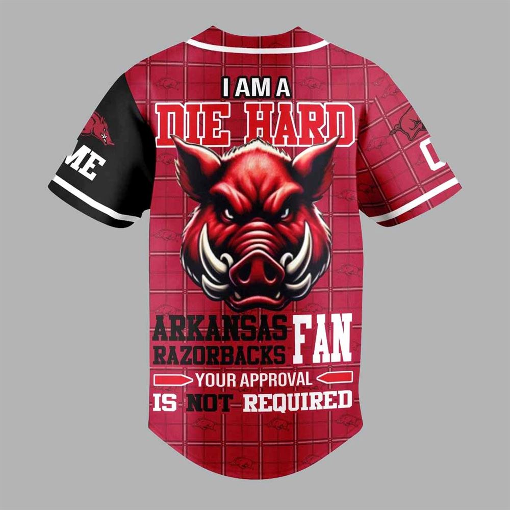 I Am A Die Hard Michigan Wolverines Fan Custom Baseball Jersey I Am A Die Hard Michigan Wolverines Fan Custom Baseball Jersey