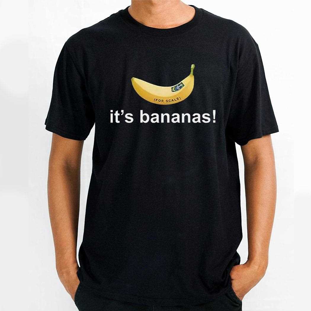 Spacex Starship Flight 6 Its Bananas Shirt