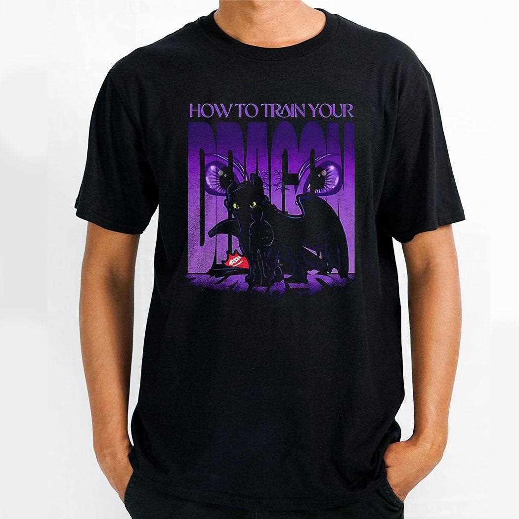 Toothless And Hiccup How To Train Your Dragon Dragon Training Shirt Toothless And Hiccup How To Train Your Dragon Dragon Training Shirt