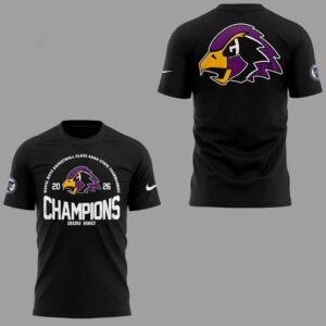 Chaska Hawks MSHSL Boys Basketball Class AAAA State Tournament Champions Hoodie