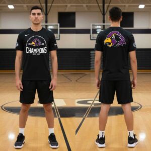 Chaska Hawks MSHSL Boys Basketball Class AAAA State Tournament Champions Hoodie