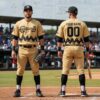 Houston Astros Fuerza Regida This Is Our Dream Tour Baseball Jersey