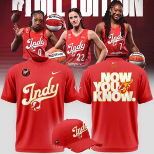 Indiana Fever 2026 Playoffs Game Now You Know Tee Hoodie